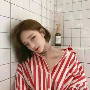 极地熊踪